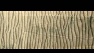 Dynamics of Wave Ripples [upl. by Chappell]