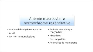 Anémie macrocytaire [upl. by Hgieloj]