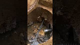 Septic System Alert Time to Replace Your Distribution Box home realestate fail construction [upl. by Proffitt868]