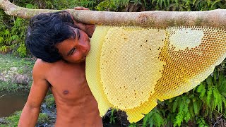 Million Dollars Skill Brave Millionaire Harvesting Honey Beehive by Hands [upl. by Oona]