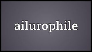 Ailurophile Meaning [upl. by Dorsey]