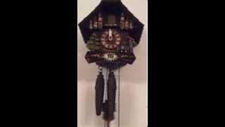 Cuckoo clock chiming [upl. by Fine]