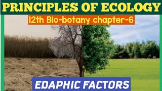 12th standard biobotany chapter6 Principles Of EcologyEDAPHIC FACTORS12th SCERT BIOLOGY TAMIL [upl. by Yelik876]