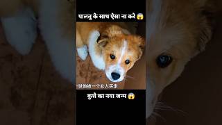 प्यारा कुत्ता और उसके पिछले जन्म की यादें 😱  short anime dog movie cartoon [upl. by Anam102]