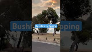 Bushfire in Epping [upl. by Leizo]