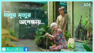 থাইল্যান্ডের সত্য ঘটনা 💔 How to Make Millions Movie Explain In Bangla Korean Drama Bangla 🟤Cinemohol [upl. by Ainahs]