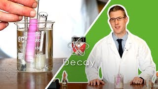 Decay  GCSE Biology Required Practical [upl. by Brebner545]