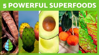 Top 5 SUPERFOODS to Boost Your Diet 🥑✅ [upl. by Rihat66]