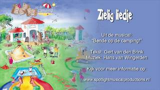 Zielig liedje  Meezingvideo [upl. by Yancy]