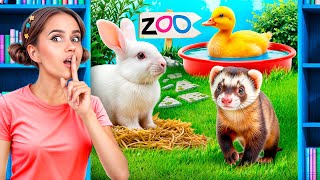 Wir Bauen ein Winziges Haus für Haustiere Heimlicher Zoo zu Hause [upl. by Steinman379]