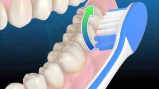 Técnica de higiene con cepillo manual [upl. by Ardnuahs]