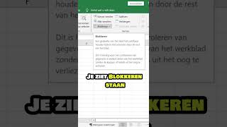 Hoe Rijen en Kolommen Blokkeren in Excel Simpele Uitleg voor Beginners [upl. by Silver803]