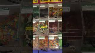 BROWSING CANDY BARREL OF FLORIDA 🍬  CANDY STORE  CITRUS PARK TOWN CENTER MALL  TAMPA FLORIDA [upl. by Nawyt187]