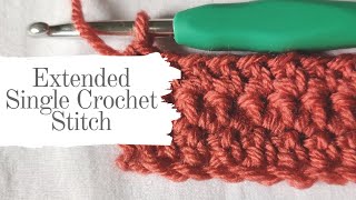 Extended Single Crochet Stitch Tutorial  Fast and Easy Blanket Stitch Idea [upl. by Beverie]