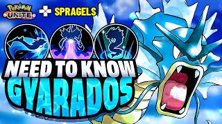 GYARADOS Pokemon Unite EVERYTHING You NEED To Know [upl. by Atnes]