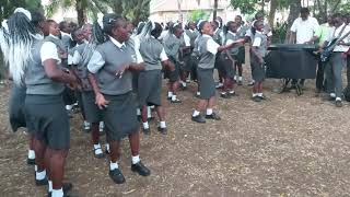 Taarab song Cheche by Sacred Heart High School Mombasa [upl. by Nitnelav904]