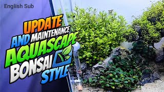 Update Aquascape Bonsai Style [upl. by Lamp]