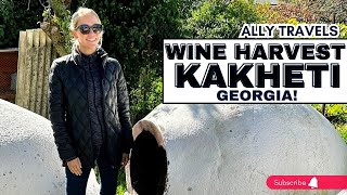 EPIC Georgian Wine Harvest Day Trip from Tbilisi Kakheti and Kazbegi  4K Video [upl. by Neelahtak376]