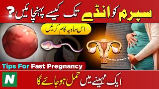 How To Send Sperm inside For Pregnancy  Pregnancy Tips to get Pregnant fast  Educational Video [upl. by Cestar]