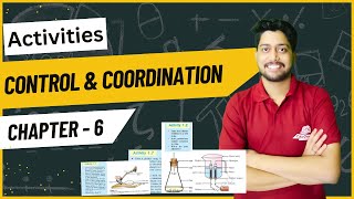 NCERT Activities  Control amp Coordination  Chapter6  Class10 Science  By Ashish sir [upl. by Haidedej]