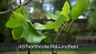 48 Northcote Road Lindfield [upl. by Nywnorb]