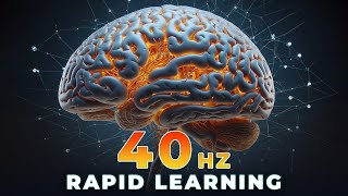 Rapid Learning 🧠 40Hz Gamma Brainwaves Binaural Beats Peak Concentration 🧘🏼‍♂️ Intense Focus [upl. by Epilihp]