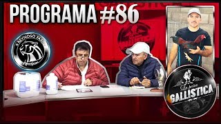 PROGRAMA 86 [upl. by Spevek559]