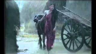 GrameenPhone Tv Commercial  Gp Network Videoflv [upl. by Acinonrev]