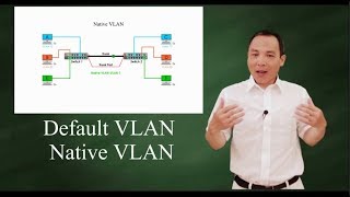 Default VLAN and Native VLAN [upl. by Moyna]