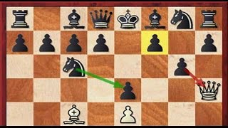 😈 Schach Just 4 Fun 🐩 Schäfermatt Teil 2 Der Ausweg 🐩 [upl. by Simona]