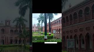 Amu school 🎒📚 sts minto cricle 🩷 [upl. by Eoj]