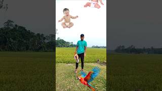 Flying crying babies mango dog lizard hen amp parrot catching video 😃 shorts youtubeshorts [upl. by Hibben]