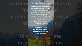 Habacuque 31718shorts leiaabíblia versiculodabiblia versiculododia versiculobiblico bomdia [upl. by Hausner]