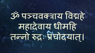 Shiva Gayatri Mantra Tanno Rudrah Prachodayat  with Sanskrit text [upl. by Aguayo861]