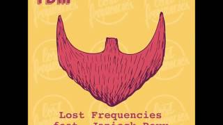 Lost Frequencies feat Janieck Devy  Reality Extended [upl. by Ingamar]