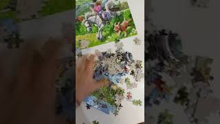 art puzzle puzzletime Antistress Video Puzzle castorland [upl. by Aubry]