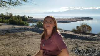 Behind the Scenes at the Salton Sea California [upl. by Winfield821]