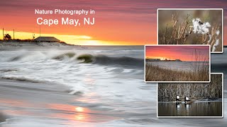 Nature Photography in Cape May [upl. by Irik]