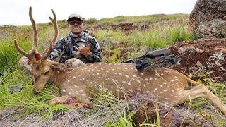 Lanai Axis Deer Archery State Hunt 2023 [upl. by Dhruv]