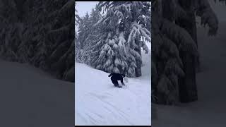 Collecting SkiersSnowboarders 371000🏂⛷️ski skiheaven skiing snowboarding viralvideo [upl. by Omor264]