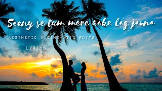 Seene Se Tum Mere Aake Lag Jao Na Lyrics female version❤️ Romantic 😍 WhatsApp Status😘Arijit Singh [upl. by Stig]