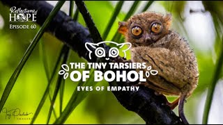 Reflections of Hope Episode 60 The Tiny Tarsiers of Bohol  Eyes of Empathy [upl. by Airtap]