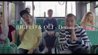 Bigflo amp Oli  Dommage  Lyrics [upl. by Tanny]