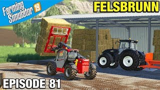 BALE STORAGE SHED Farming Simulator 19 Timelapse  Felsbrunn FS19 Episode 81 [upl. by Blount929]