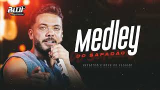 WESLEY SAFADÃO  MEDLEY DO SAFADÃO 3 DIAS VIRADOS [upl. by Esertal914]