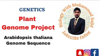 Plant Genome Project Arabidopsis thaliana genome sequence [upl. by Nies]