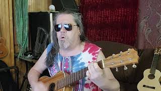 InAGaddaDaVida cover of Iron Butterfly on guitalele  RIP Doug Ingle [upl. by Yecnay782]