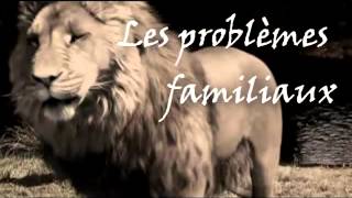 TRAILER OFFICIAL  LE LION [upl. by Phipps]