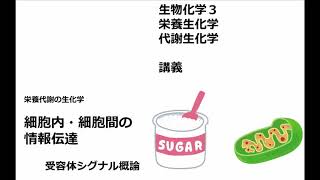 講義 生物化学３代謝生化学・栄養生化学 2021年度前半 05 細胞内情報伝達・細胞間情報伝達の基礎知識 [upl. by Gracie568]