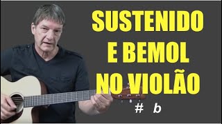 Sustenido e bemol no violão [upl. by Ikim1]